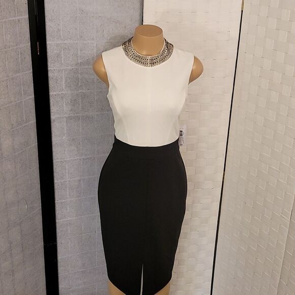 BRAND NEW BISSOU BISSOU MOCK JEWEL NECK SLEEVELESS SHEATH DRESS - Picture 11 of 14